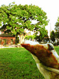 070808_0.jpg